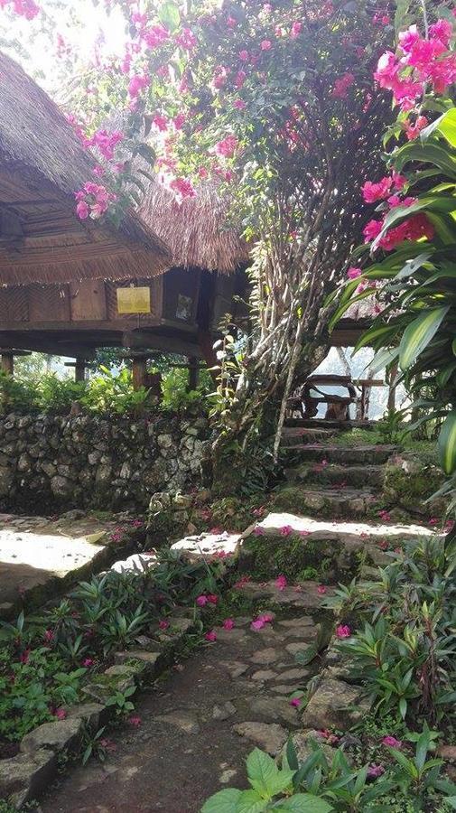 Native Village Inn Banaue Eksteriør bilde