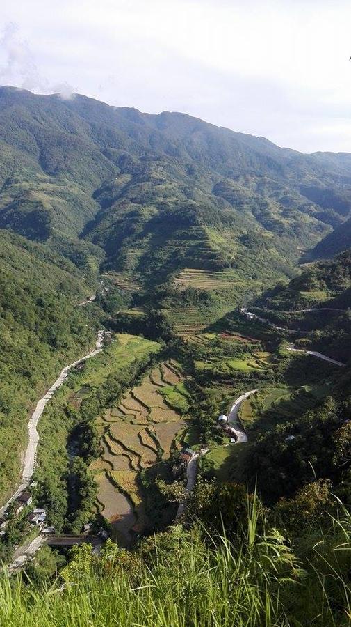 Native Village Inn Banaue Eksteriør bilde