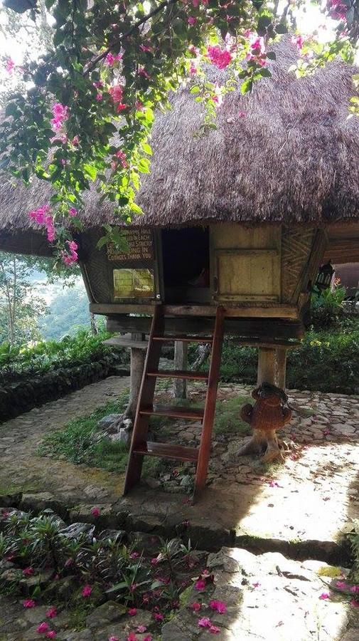 Native Village Inn Banaue Eksteriør bilde