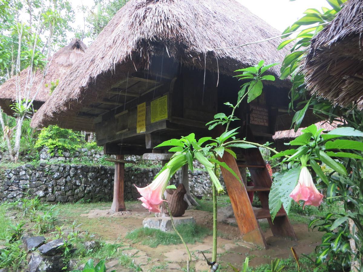 Native Village Inn Banaue Eksteriør bilde