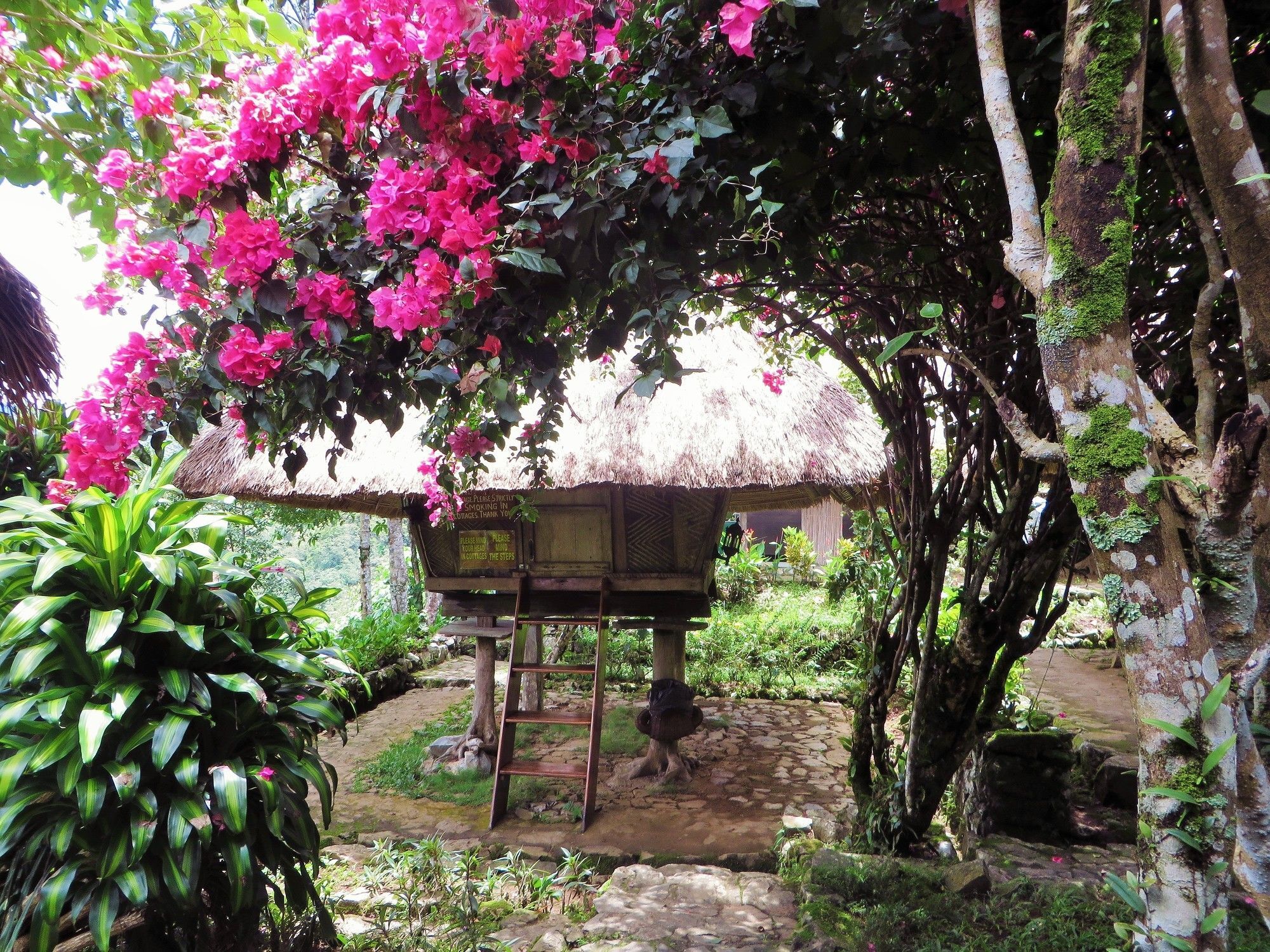 Native Village Inn Banaue Eksteriør bilde